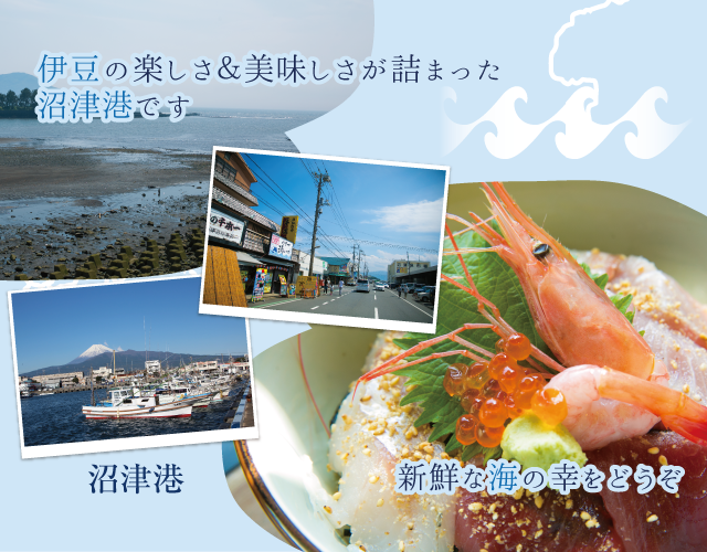 伊豆の楽しさ＆美味しさが詰まった沼津港です