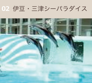 伊豆・三津シーパラダイス