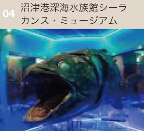 沼津港深海水族館シーラカンス・ミュージアム