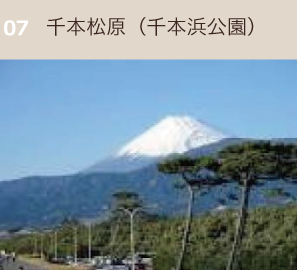 千本松原（千本浜公園）